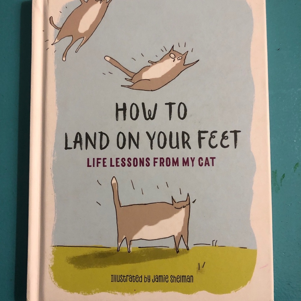 How to land on your feet book- humorous